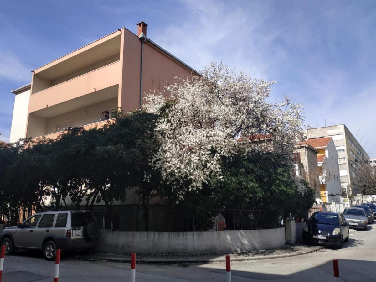 Split Symphony Garden: Modern, New Apartment 외부 사진