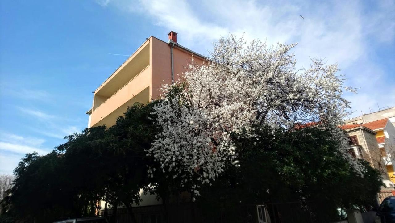 Split Symphony Garden: Modern, New Apartment 외부 사진